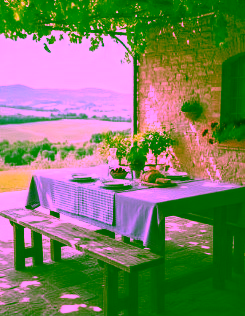 Tovaglia agriturismo lilla con coprimacchia quadretti